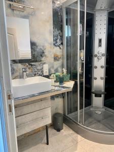ein Badezimmer mit Waschbecken und Dusche in der Unterkunft Joli duplex climatisé à 30min Paris in Montmorency