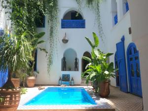 Πισίνα στο ή κοντά στο Riad Chameleon