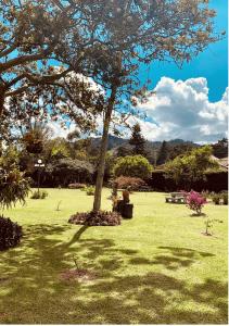 a park with a tree in the middle of a field at Hotel CSI Llanogrande in Rionegro