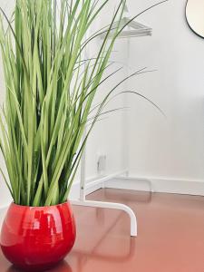 Billede fra billedgalleriet på LANTON PLAGE - APPARTEMENT 6 PERS. TERRASSE i Lanton