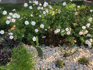 Jardí fora de Bo Cabin in Garden โบคาบิน อิน การ์เดน