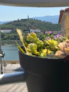 un plato de flores sentado en la parte superior de un balcón en Alojamento Joaninha Douro 2, en Peso da Régua