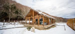 a log cabin in the snow in the woods at Cabana La Panţiru in Văleni-Stînişoara