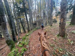Hosté ubytování Miramont Horse Trekking Hostel