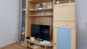 TV a/nebo společenská místnost v ubytování Seaview apartment Primošten