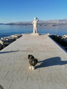 Fotografie z fotogalerie ubytování Apartments Ruža Vjetrova v destinaci Postira