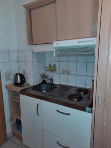 eine kleine Küche mit einer Spüle und einem Herd in der Unterkunft Arberapartment in Bayerisch Eisenstein