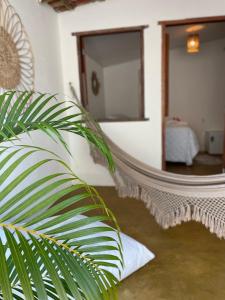 Habitación con espejo grande y planta en Pousada Corais Do Sul, en Caraíva