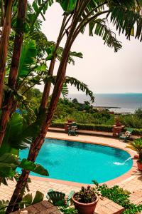 una piscina con vistas al océano en POOL APPARTAMENT en Ischia