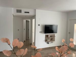 TV a/nebo společenská místnost v ubytování Moraira Calamora