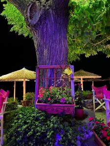 a purple tree with flowers in front of a tree at Maniatis Garden in Achladies