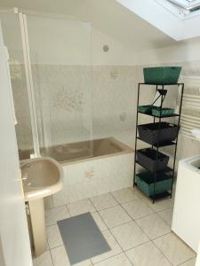 La salle de bains est pourvue d'une douche et d'un lavabo. dans l'établissement Les Gites de TY Dreux Monts d'arrée, à Saint-Thégonnec