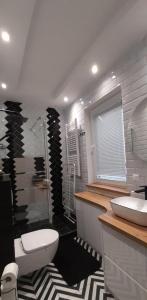 a bathroom with a toilet and a sink at Apartament Oaza Jastrzębia Góra in Jastrzębia Góra