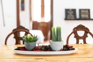 Fotografie z fotogalerie ubytování CASA CANARIA ACERÓ v destinaci Garachico