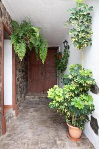 Fotografie z fotogalerie ubytování CASA CANARIA ACERÓ v destinaci Garachico