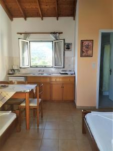 a kitchen with a table and a sink and a window at Elli Studios & Apartments in Marathokampos