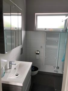 ein Badezimmer mit einem Waschbecken, einem WC und einem Spiegel in der Unterkunft Station1 in Westhofen