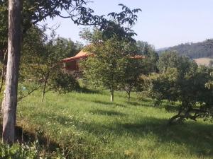 ein Haus inmitten eines Feldes mit Bäumen in der Unterkunft Camp Panorama in Guča