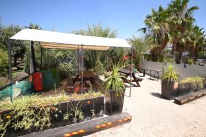 Zahrada ubytování Suites in the Galilee