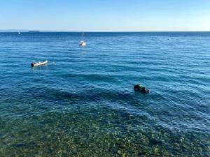 two boats in a large body of water at Seaside Resort in Trieste