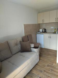 a living room with a couch and a kitchen at Apartments Snowflake in Žabljak