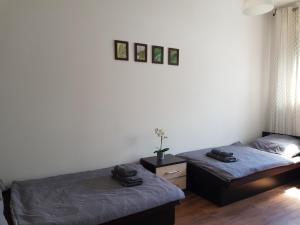 Łóżko lub łóżka w pokoju w obiekcie Apt with 6 single beds
