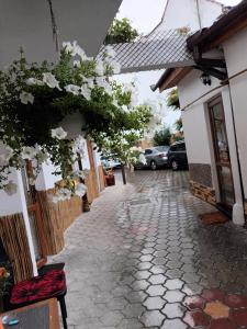 a stone walkway with flowers hanging from a building at Amaraz Center in Sibiu