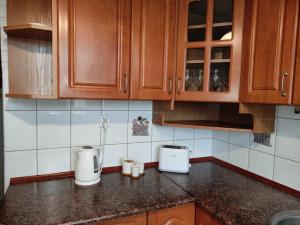 Kuchyňa alebo kuchynka v ubytovaní Apartament Jagiełły 14