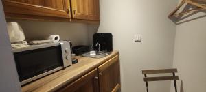 eine Küche mit einer Theke mit einer Mikrowelle und einer Spüle in der Unterkunft Le Rouveau in Six-Fours-les-Plages