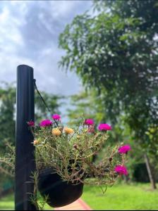 Weekend Villa at Nature's Lap (Malshej Ghat)外面的花园