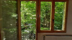 Zahrada ubytování Hotel Ravnjak