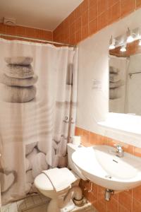 uma casa de banho com um WC, um lavatório e um chuveiro em Le Sans Souci em Jausiers