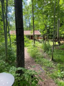 a path in the woods with a house in the background at Linhagen Gård in Säffle