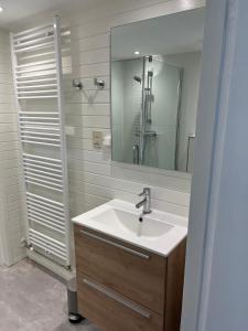 La salle de bains est pourvue d'un lavabo et d'une douche avec un miroir. dans l'établissement Villa Frederik with sauna in Winterswijk, à Winterswijk