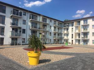 a large apartment building with a yellow pot with a tree at Dziwnówek Słoneczne Tarasy Gray in Dziwnówek