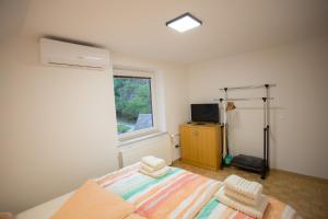 1 dormitorio con cama y ventana en APARTMAJI HUBI en Bled
