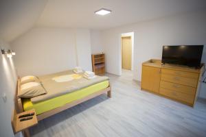 TV a/nebo společenská místnost v ubytování APARTMAJI HUBI