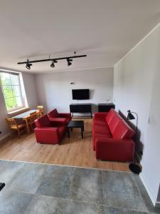 Televízia a/alebo spoločenská miestnosť v ubytovaní rynhouse + 3 fotografie