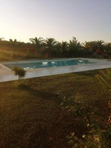 a swimming pool in the middle of a yard at Agriturismo Isidoro in Fertilia