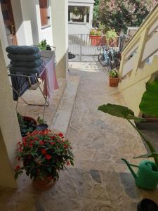 Φωτογραφία από το άλμπουμ του Apartment Dukic σε Sveti Filip i Jakov