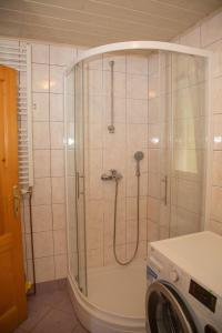 a shower in a bathroom with a washing machine at Apartma Erlah in Bohinj