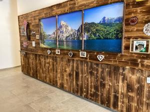 a wall with a large tv in a room at Neue Wohnung "RITTERTAL" im Zentrum von Altmünster am Traunsee in Altmünster