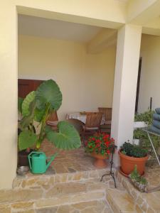 une terrasse avec des plantes, une table et des chaises dans l'établissement Apartment Dukic, à Sveti Filip i Jakov