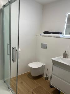 een badkamer met een douche, een toilet en een wastafel bij Apartmán U Pelikána in Olomouc