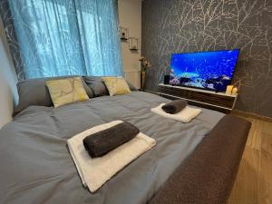 een bed met handdoeken en een flatscreen-tv bij Apartmán U Pelikána in Olomouc