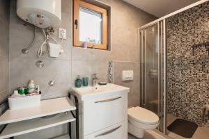 ein Bad mit einem WC, einem Waschbecken und einer Dusche in der Unterkunft Kuća za odmor Vlahek in Grabrovnik