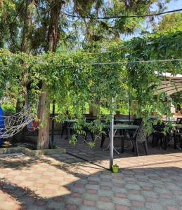 Giardino di Hotel Lotus