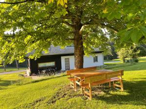 einen hölzernen Picknicktisch unter einem Baum in einem Park in der Unterkunft Landhaus Waisenegg 