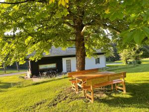 a wooden picnic table under a tree in a park at Landhaus Waisenegg 