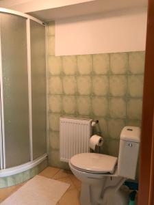 a bathroom with a toilet and a shower at Apartmán LUČA in Liptovský Mikuláš +15 photos